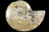 Agatized Ammonite Fossil (Half) - Madagascar #103095-1